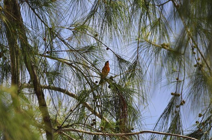 buljore.jpg (17)_1024x680